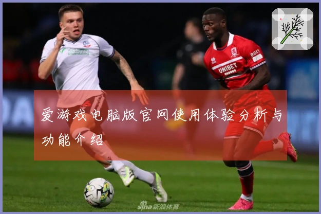 爱游戏电脑版官网使用体验分析与功能介绍